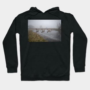 Crossing the water - Part 3 Hoodie